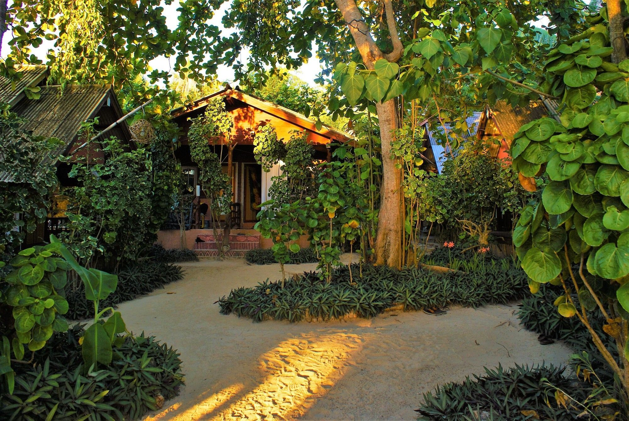 Haad Chao Phao Resort Haad Chao Phao